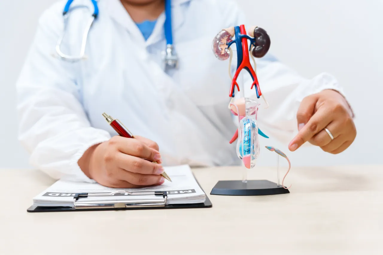 A fertility assessment at a men’s sexual health clinic