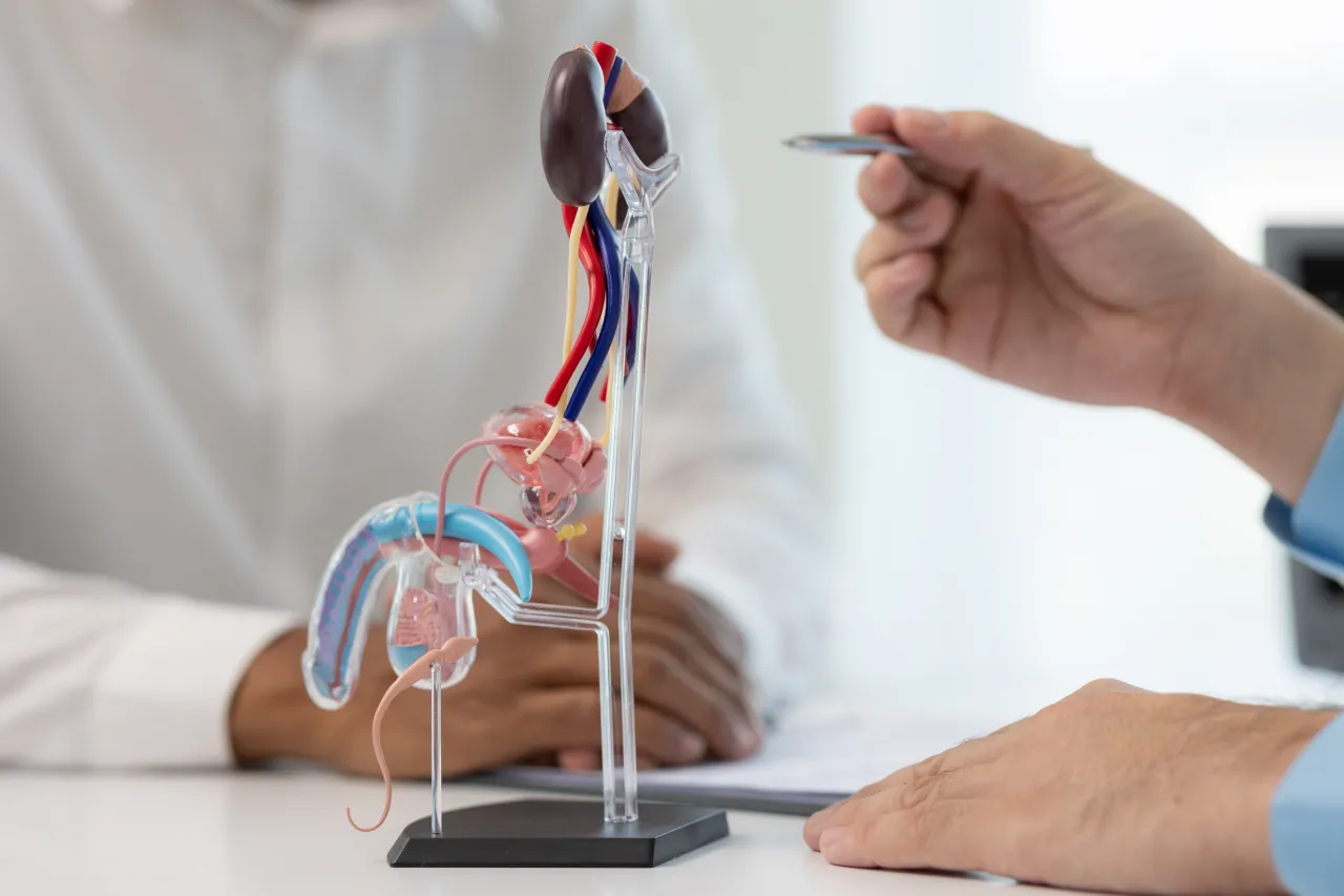 A patient during an erectile dysfunction consultation