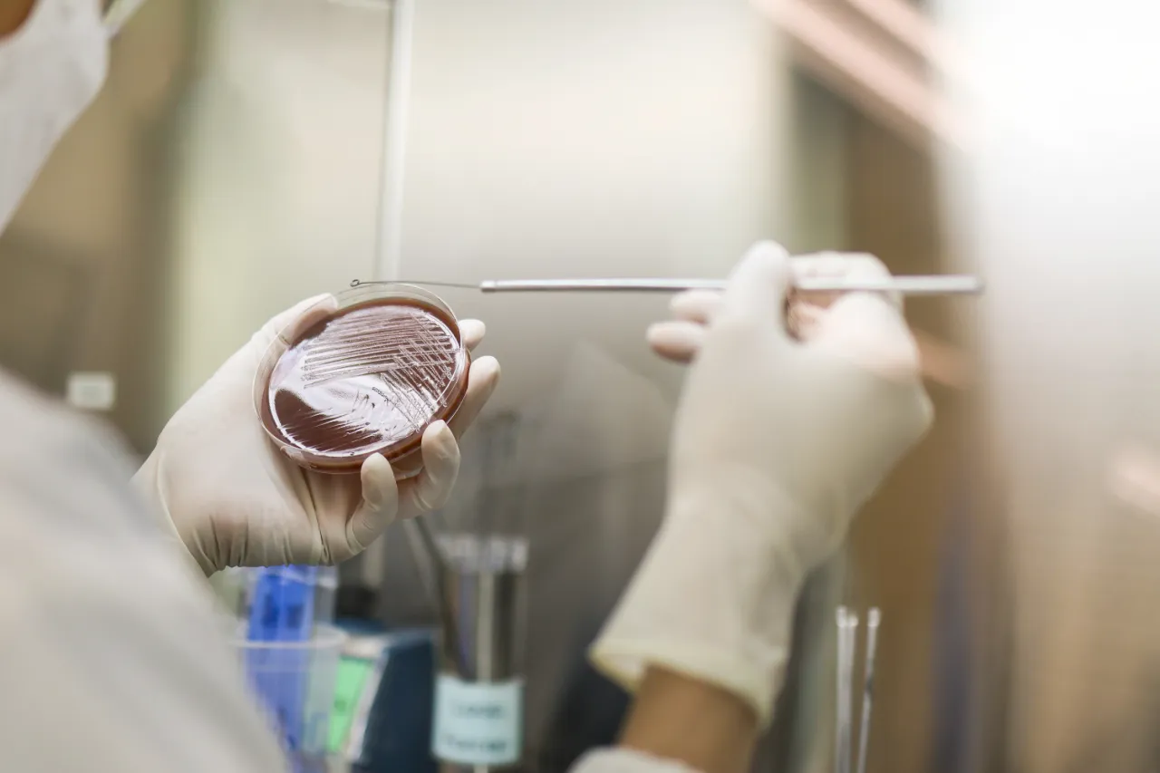 A doctor carrying out a gonorrhoea test